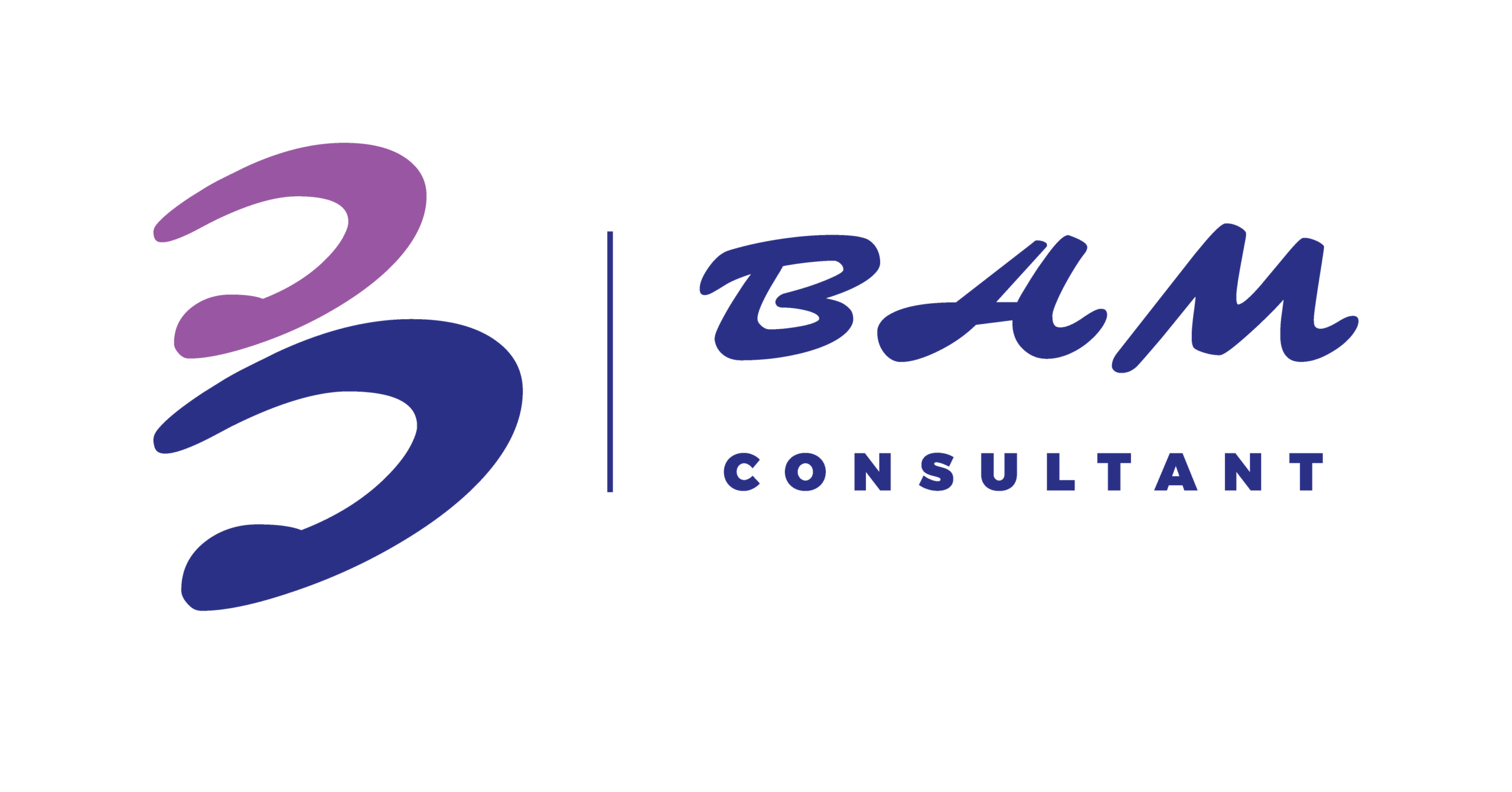 bamconsultant.net